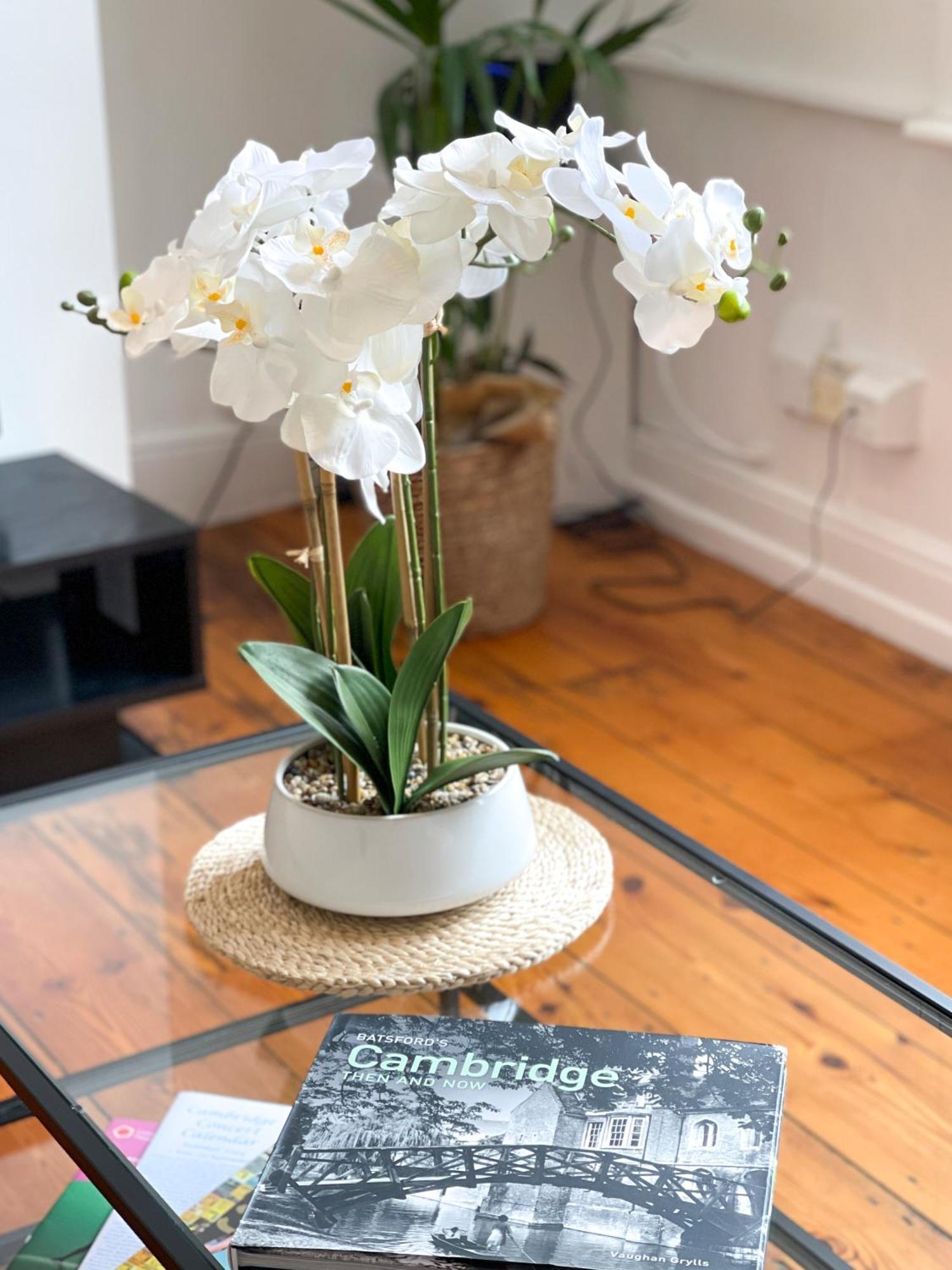 Fantastic Victorian House, Excellent City Location - Cambridge Homehost Екстер'єр фото